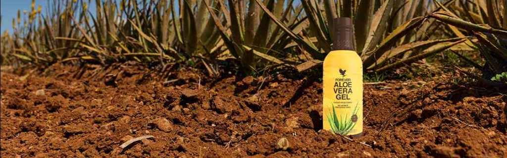 Алоето на Форевър